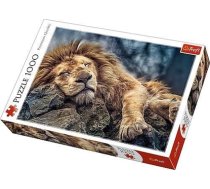 Trefl Puzzle 1000 picy lew (226184) 226184
