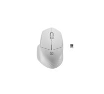 Mysz bezprzewodowa Siskin 2 1600 DPI Bluetooth 5.0 + 2.4GHz, biała (NMY-1972)