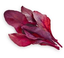 Click & Grow Smart Garden refill Red Leaf Beet 3pcs (SGR56X3)
