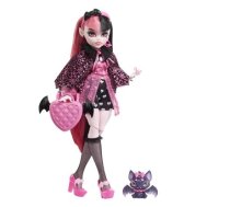 Monster High HHK51 doll (01123001)