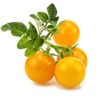 Click & Grow Smart Garden refill Yellow Mini Tomato 3pcs (SGR57X3)