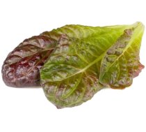 Sėklos Click & Grow Smart Refill Red romaine lettuce 3pcs (SGR94X3)