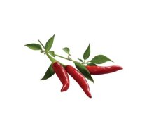 Išmaniojo vazono sėklos Click & Grow Smart Garden refill Chili Pepper 3pcs CHIL-REFILL-3 (CHIL-REFILL-3)