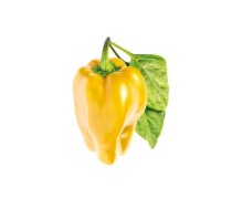 Išmaniojo vazono sėklos Click & Grow Smart Garden refill Yellow Sweet Pepper 3pcs YPEP-REFILL-3 (YPEP-REFILL-3)