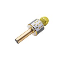 Mikrofonas Manta MIC10-G gold (T-MLX53418)