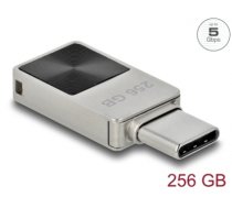 Delock Mini USB 5 Gbps USB-C™ Memory Stick 256 GB - Metal Housing (54009)