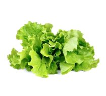 Sėklos Click & Grow Smart Garden refill Lettuce 3pcs GLETT-REFILL-3 (GLETT-REFILL-3)