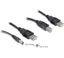 Delock Cableset 2x USB-A  DC + USB-B 30cm (82461)