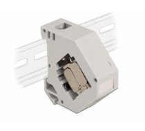 Delock DIN rail Adapter with Keystone Module RJ45 jack Cat.6A LSA (86014)