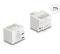 Delock Keystone Module with 2 x USB Type-C™ Charging Port PD 20 W white (41479)