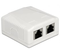 Delock Network Wall Outlet 2 Port Cat.6A LSA (86197)