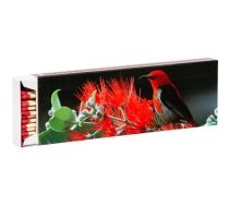 Flamax Matches 20cm 55pcs (1318636)