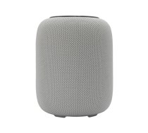 White Shark GBT-619 Idakka White 54255#T-MLX56743