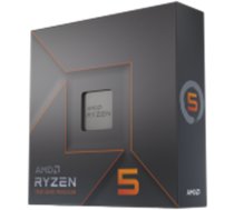 Procesors AMD Ryzen 5 7600X 100-100000593WOF
