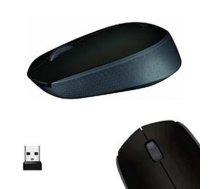 Pele datora bezvada M171 Logitech LGT06285
