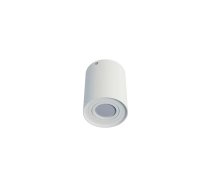 Virsapmetuma gaismeklis SPOT TUBE, excl. GU10, IP20 | | 5903175318039