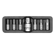 torx bit set