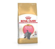 Royal Canin British Shorthair Kitten cats dry food 400 g Adult Poultry