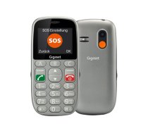 Gigaset GL390 2.2 0.3MP Dual SIM Titanium Silver S30853-H1177-R101