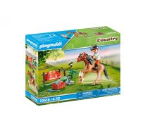 Playmobil Country - Sammelpony Connemara (70516)