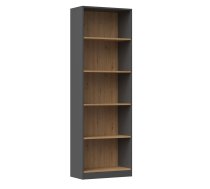 Topeshop R60 ANT/ART office bookcase