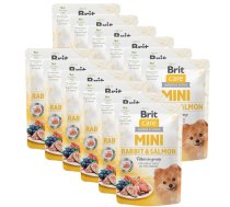 Brit Care Mini truša un laša fileja mērcē 85g