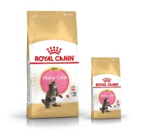 ROYAL CANIN Maine Coon Kitten 2kg sausā barība kaķēniem līdz 15 mēnešu vecumam, Meina jenots, Meina jenotu šķirne