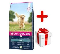 EUKANUBA Adult Large Breed Lamb&Rice 12kg + STAIGMENA DOG