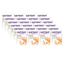 Kattovit Urinary Turkey 24x85g maisiņš