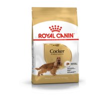 ROYAL CANIN Cocker Spaniel Adult 12kg sausā barība pieaugušiem kokerspanielu šķirnes suņiem