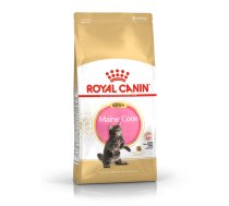 ROYAL CANIN Maine Coon Kitten 10kg sausā barība kaķēniem līdz 15 mēnešu vecumam, Meina jenotsuņu šķirne