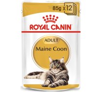 ROYAL CANIN Maine Coon Adult maisiņš 12x85g (mērce)