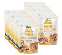 Brit Care Mini truša un laša fileja mērcē 85g