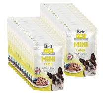 Brit Care Mini jēra fileja mērcē 85g