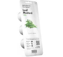 Click & Grow Leaf Mustard (Lapu sinepe)