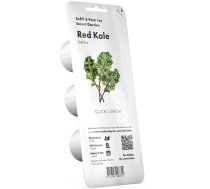 Click & Grow Red Kale (Kale kāposti)