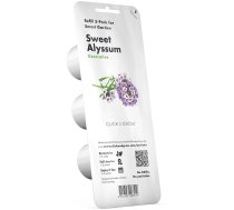 Click & Grow Sweet Alyssum (Jūrmalas sudrabzālīte)