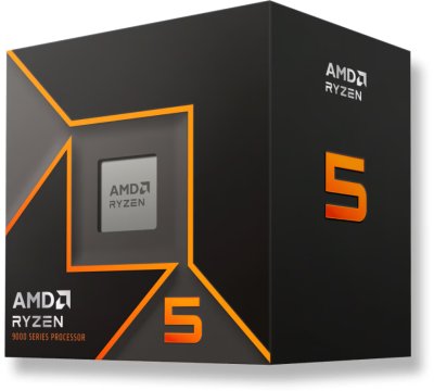 AMD Ryzen 5 9600