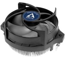 Arctic Alpine 23 CO