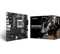 Biostar B650MT