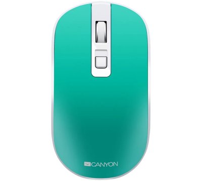 Canyon MW-18
