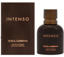 Pour Homme Intenso (WP M 125ml) 737052783451 (0737052783451) ( JOINEDIT55101233 )