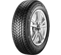 GT RADIAL CHAMPIRO WINTERPRO 2 215/60 R16 99H