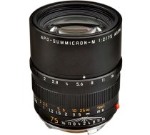 Leica APO-SUMMICRON-M 75mm F/2 ASPH