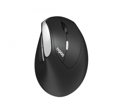 Rapoo EV250