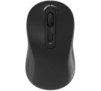 RoGer P273