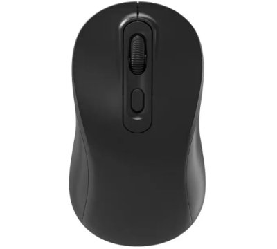 RoGer P273