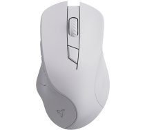 Sbox WM-308