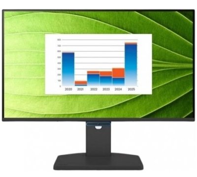 Benq BL2490TC