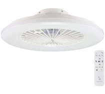 Beper P206VEN640
